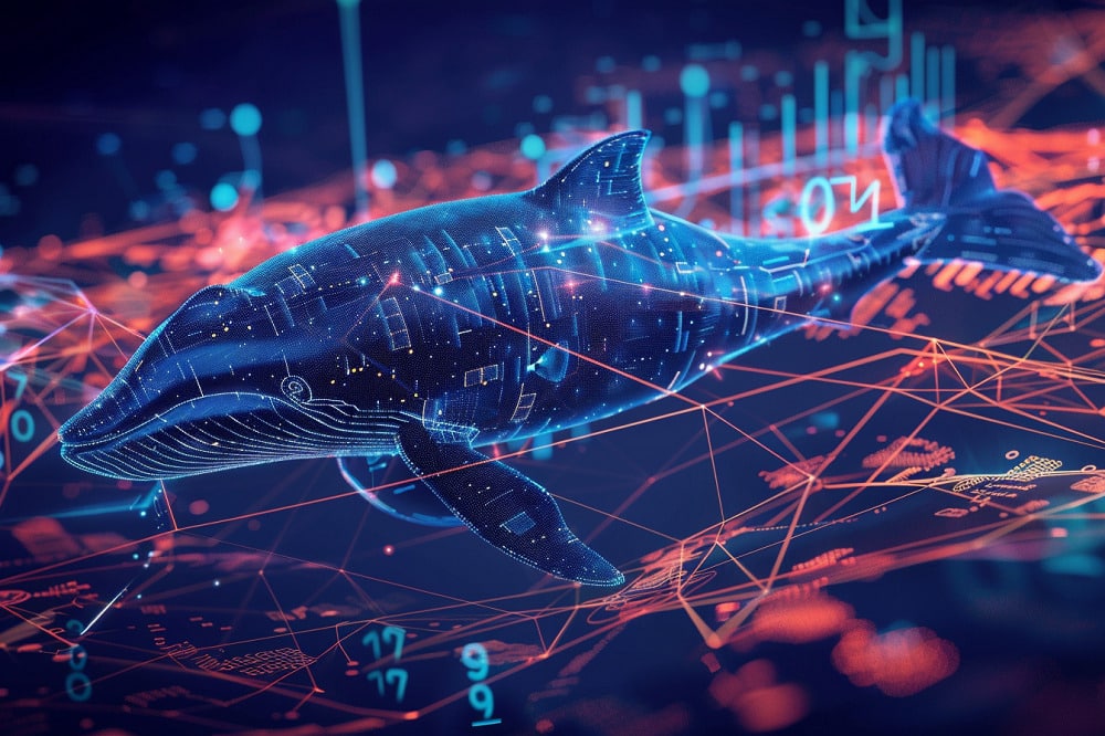 ADA’s Price Drops Amidst Decrease In Whale Transactions